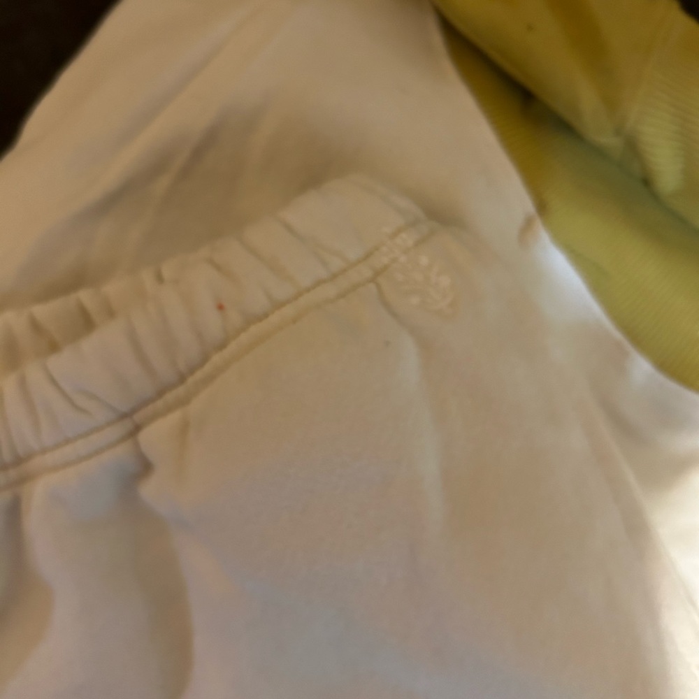 Free People color block sweat pants